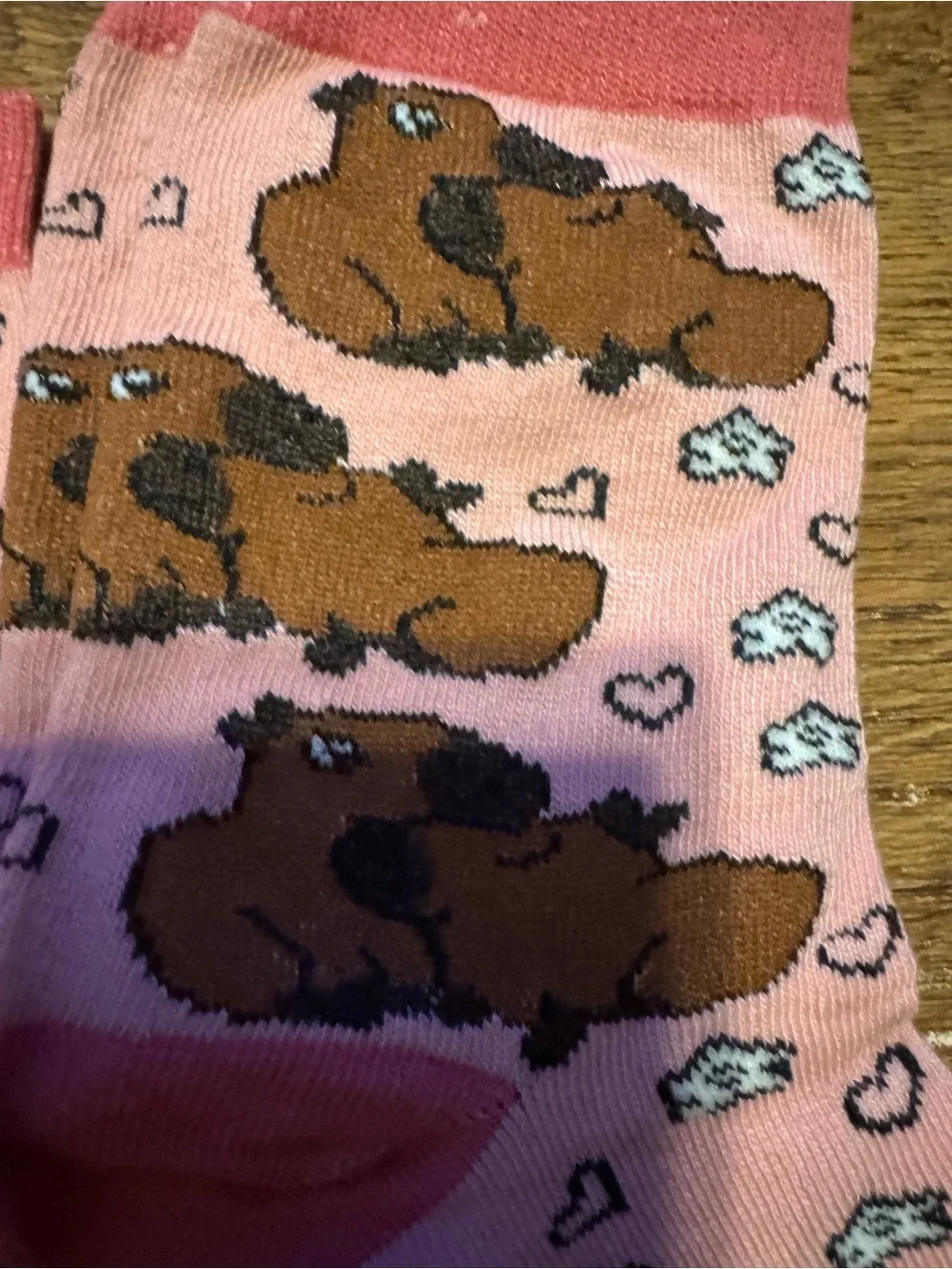Pink capybara socks NEW includes three pairs